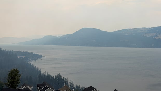Wildfire near La Casa prompts evacuation alert for over 500 properties in B.C.