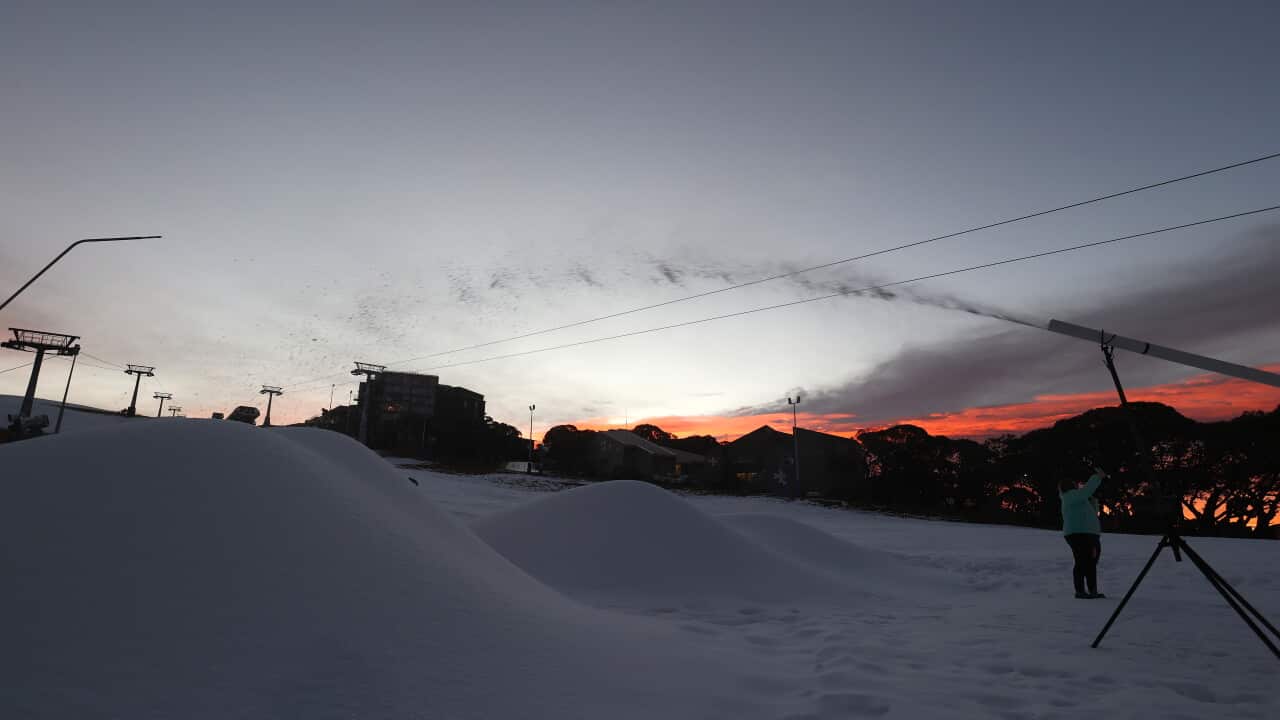 Australia's ski resorts adapt to unpredictable winters with snowmaking technology