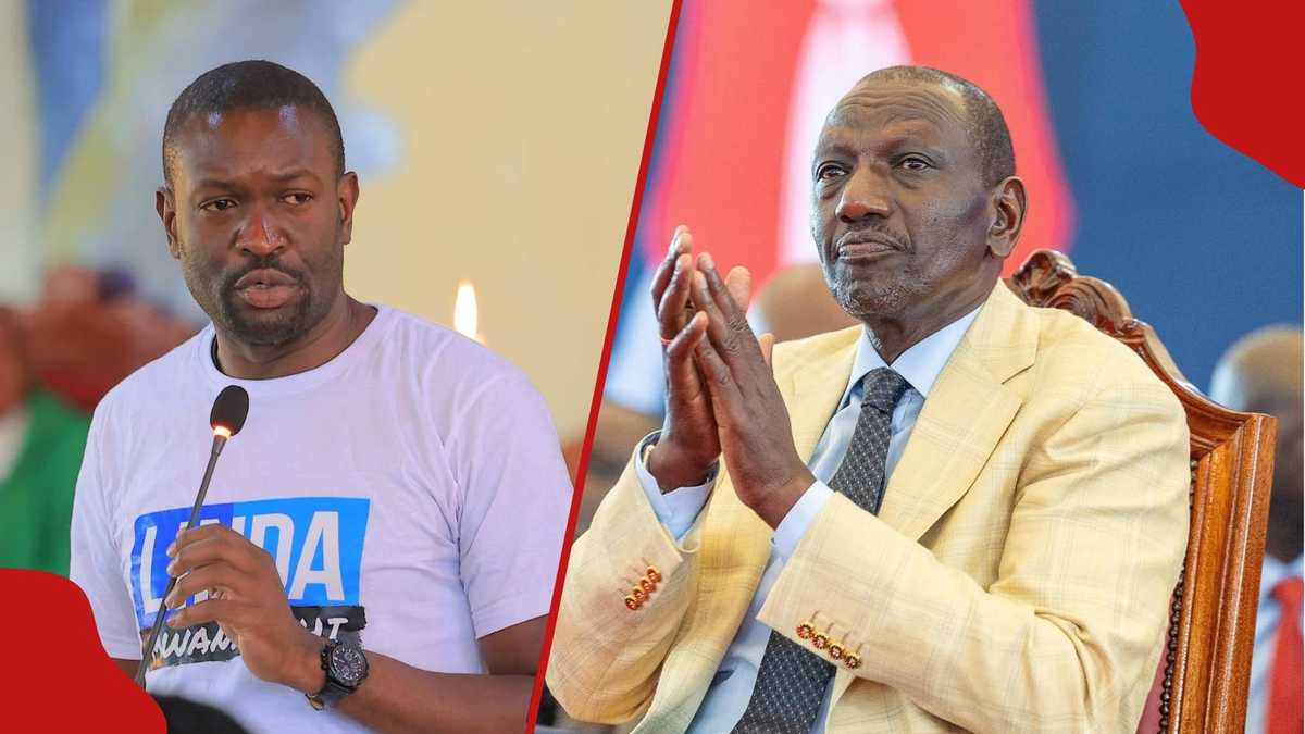 Nairobi Senator Criticizes Ruto’s Housing Projects Over Alleged Police Crackdowns