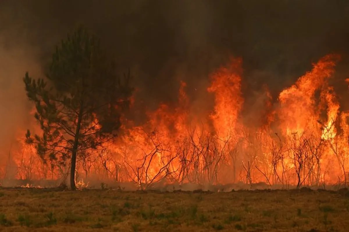 Wildfires Force Evacuations in France and Spain