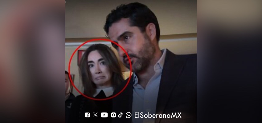 Senador panista reconoce colaboración sin contrato con abogada cercana al partido