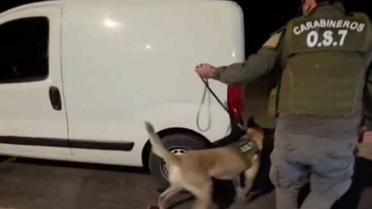 Carabineros incautó más de 271 kilos de droga en operativos en El Loa