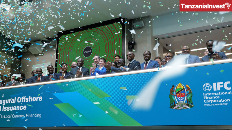 Tanzania's Offshore Shilling Bond Funds SME Lending and Women-Owned Businesses