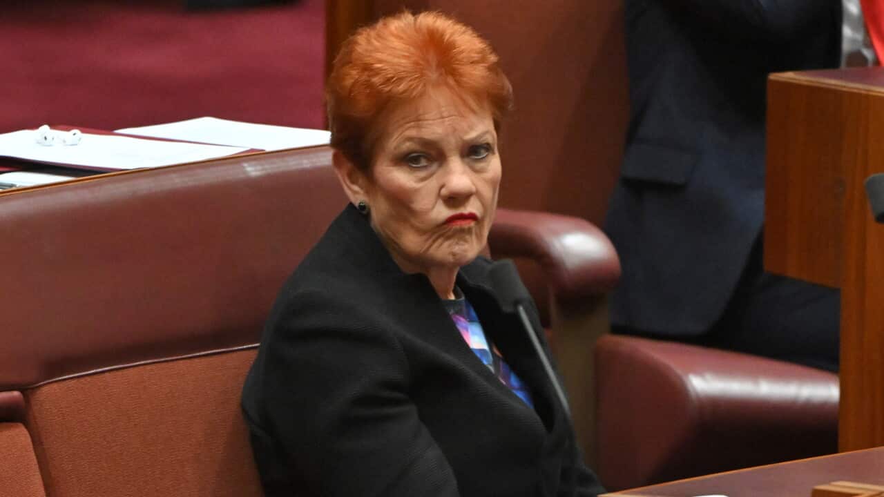 Pauline Hanson's Racial Vilification Appeal Dismissed by Federal Court