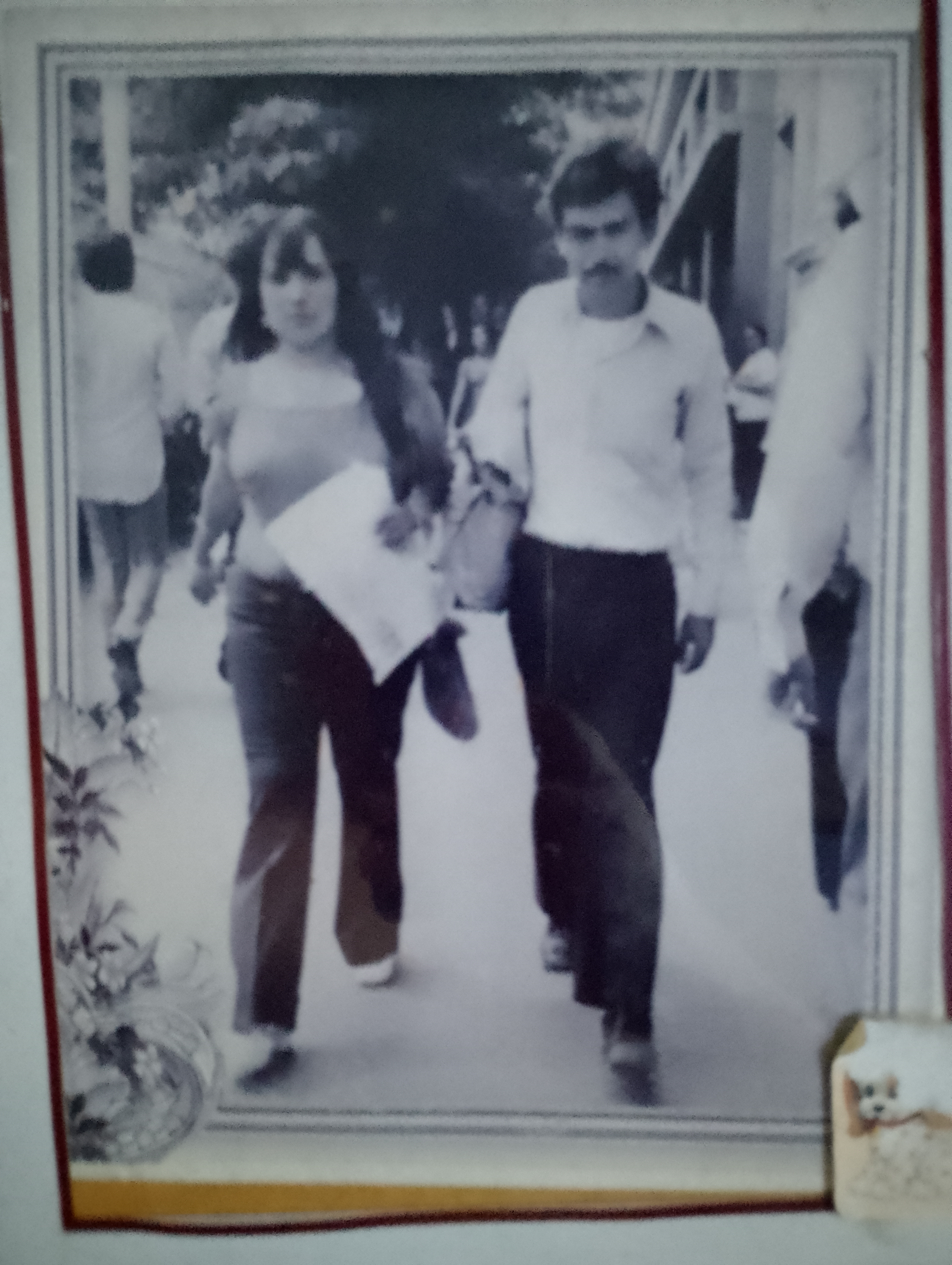 Imagen antes de colorización