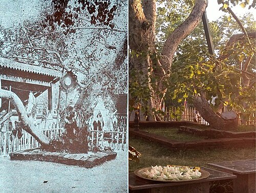 Ananda Wickramage