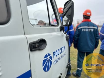 Более 74 га трасс ЛЭП в Кабардино-Балкарии расчистят от поросли «Россети Северный Кавказ» в 2024 году