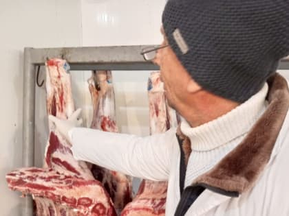 Ветеринарно-санитарная экспертиза мясо-молочных продуктов в г. Терек