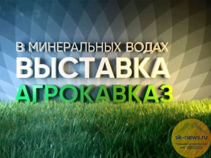 ВТБ и группа компаний «Сола» со Ставрополья подписали соглашение о сотрудничестве