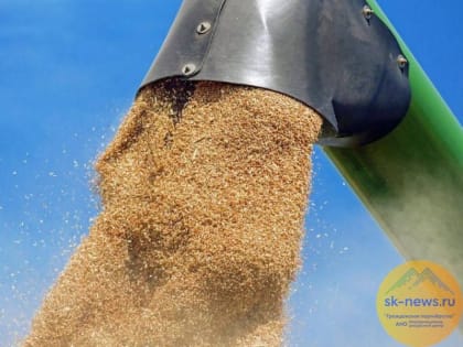 В 2024 году со Ставрополья ушло на экспорт более 1,4 млн тонн продукции АПК