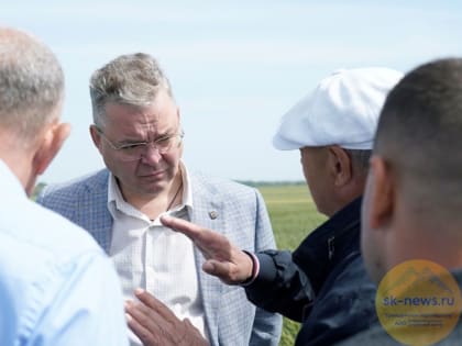 Ставрополье должно выйти на полную самообеспеченность АПК собственными семенами