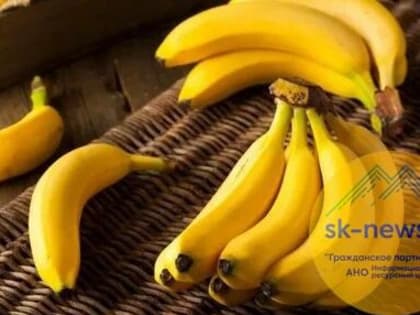 В Невинномысске построят комплексы по выращиванию бананов