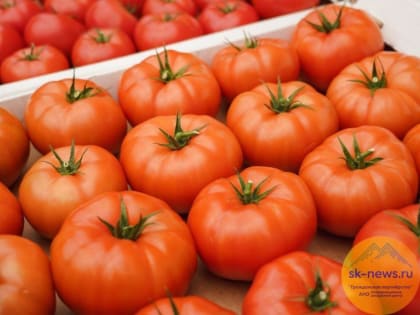 Под брендом «Продукция Кавказа» на Ставрополье заработают 23 производителеля, в КБР – 10, в Северной Осетии – 5, в Карачаево-Черкесии – три