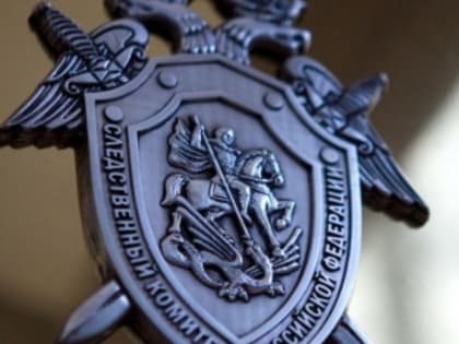 СК начал проверку обстоятельств массового отравления детей в КБР
