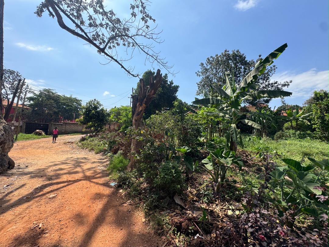 12 Decimals of Land for Sale near Total Munyonyo