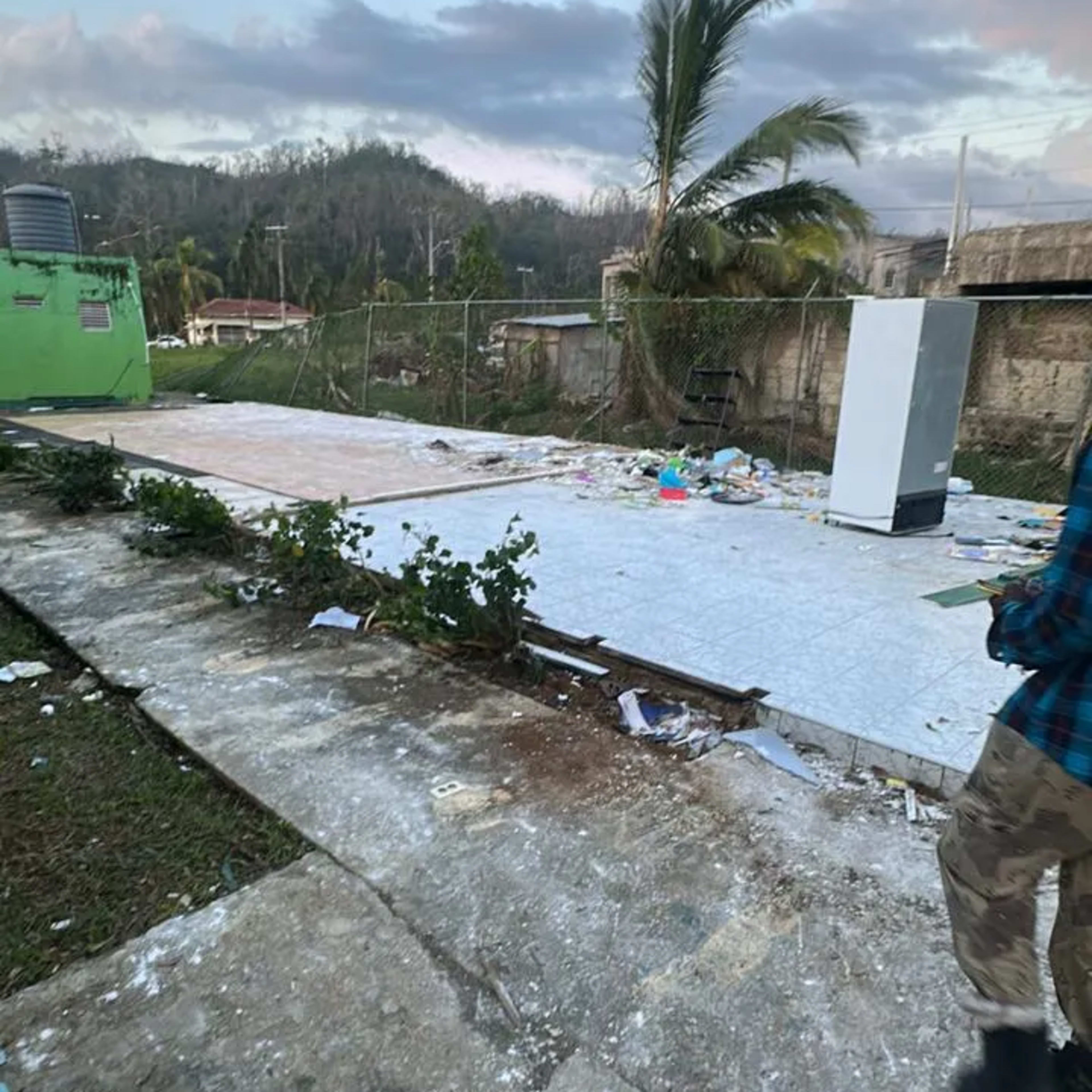 WhatsApp Image 2025-11-09 at 17.45.50_e5d6d3ac.jpg