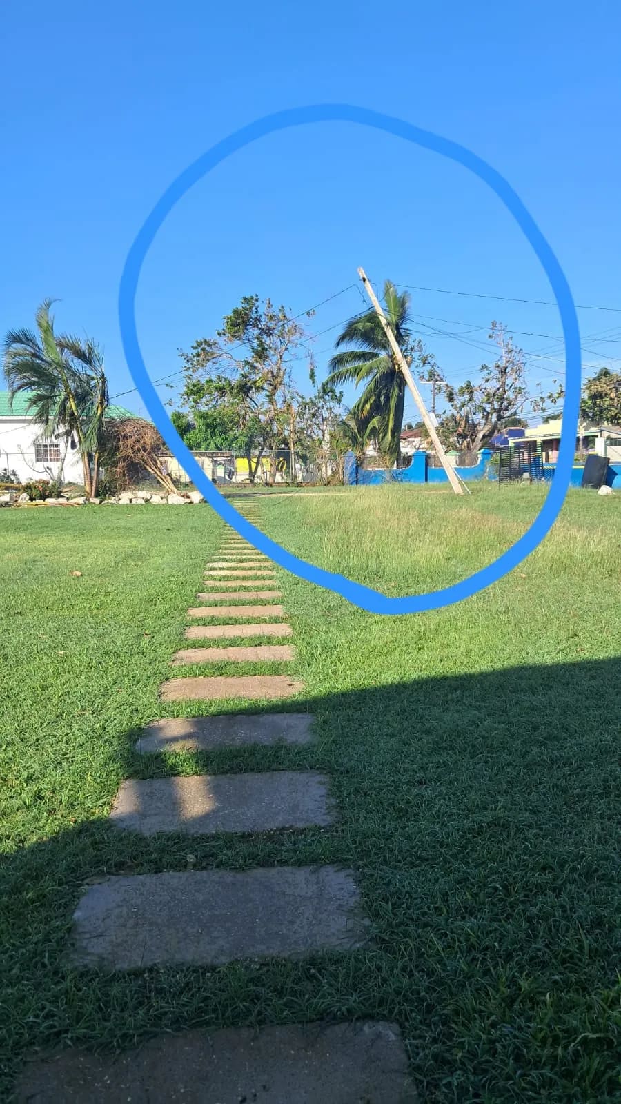 WhatsApp Image 2025-11-26 at 12.12.00_491b5d83.jpg