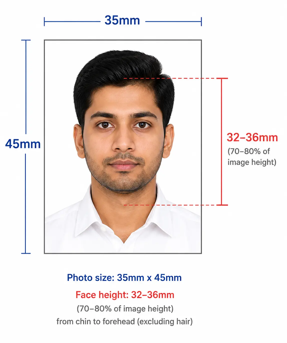 France visa photo size example 35x45mm with face height measurement showing 32–36mm chin to forehead