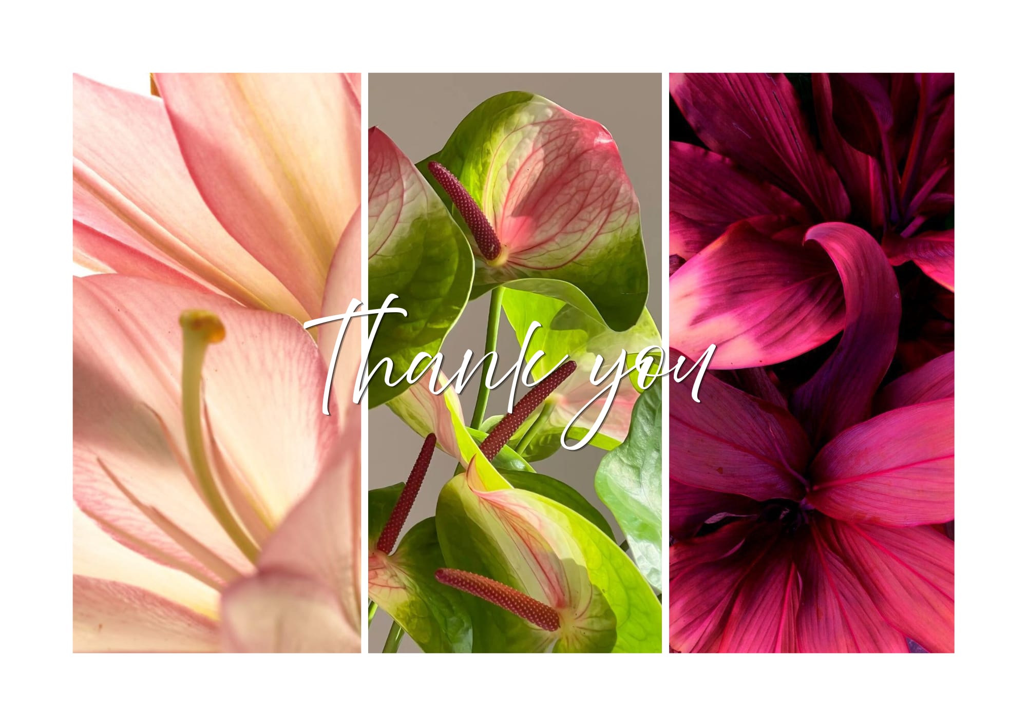 Graduation Project — slide 19