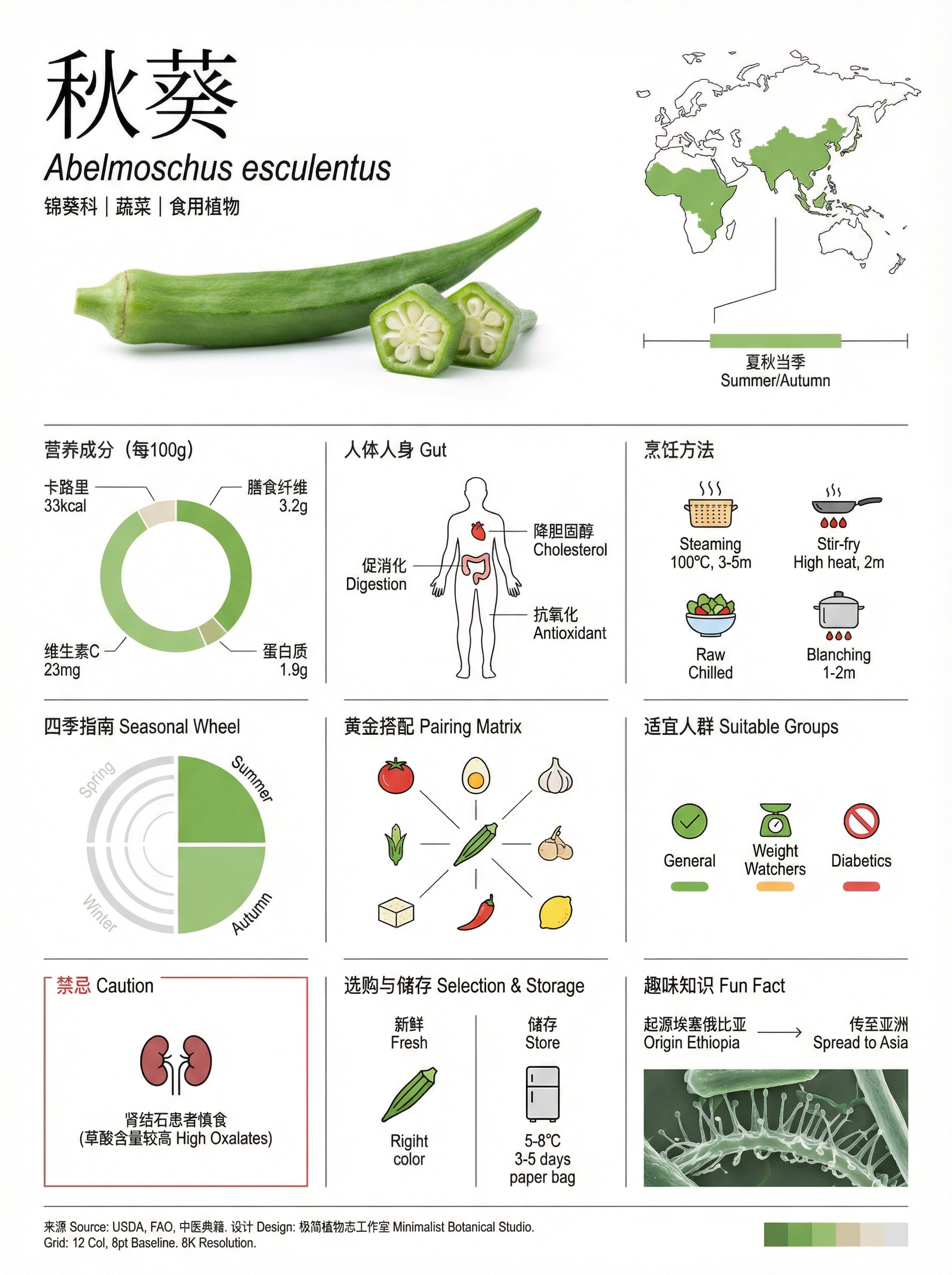 极简食材百科卡片