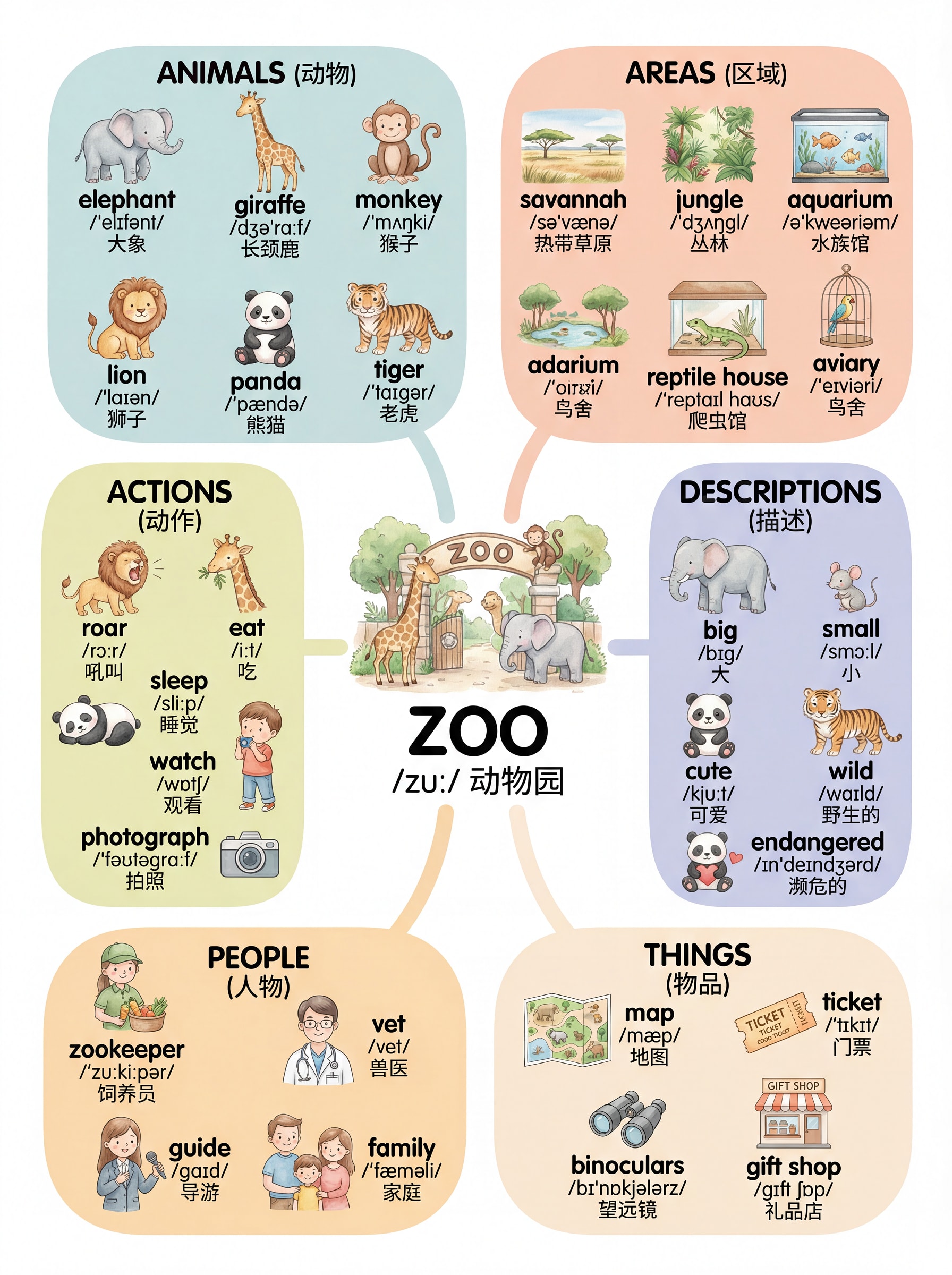 儿童英语词汇思维导图