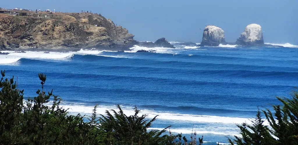 Punta de Lobos