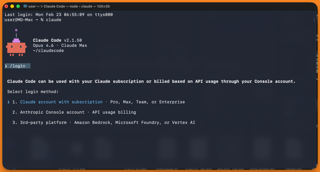 Экран входа Claude Code