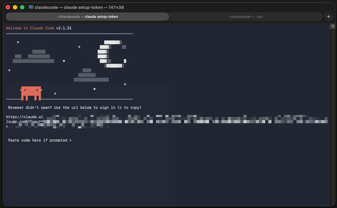 Сообщение после setup-token