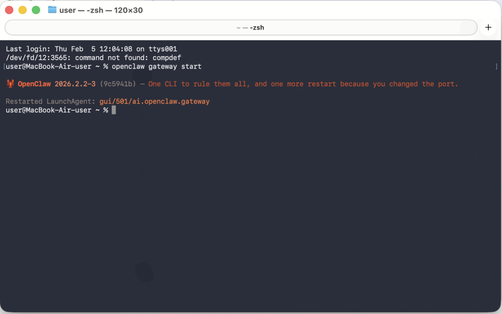 Успешный запуск openclaw gateway