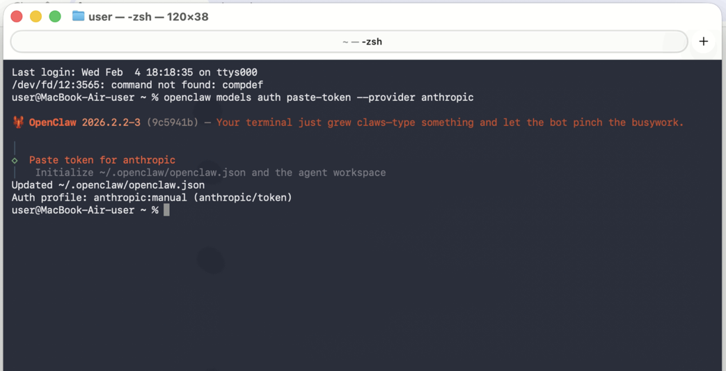 Ввод токена