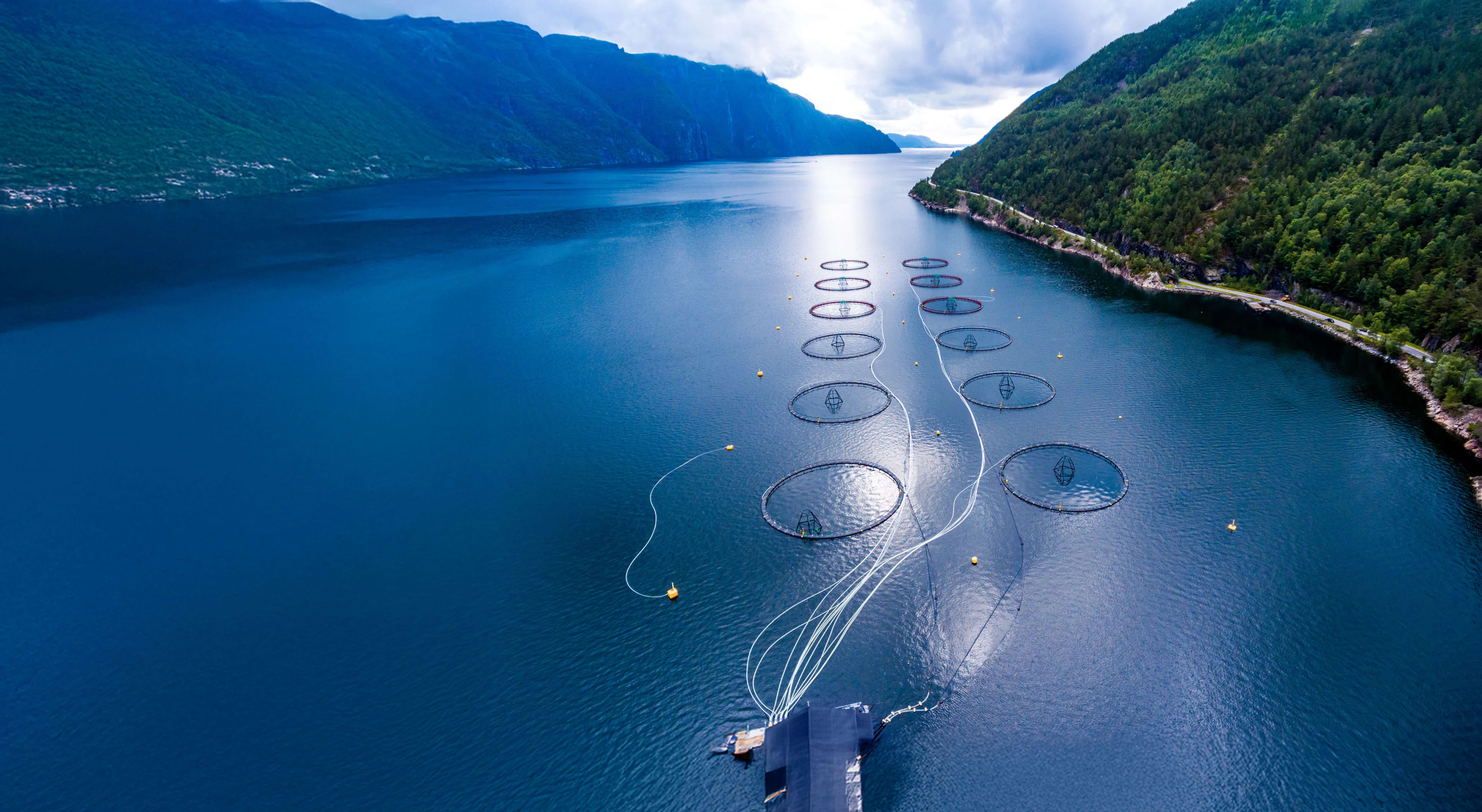 Digital Aquaculture Solutions