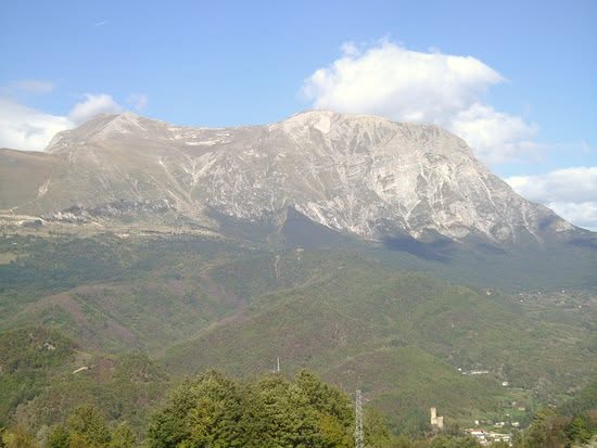 SE QUESTA E’ VITA…