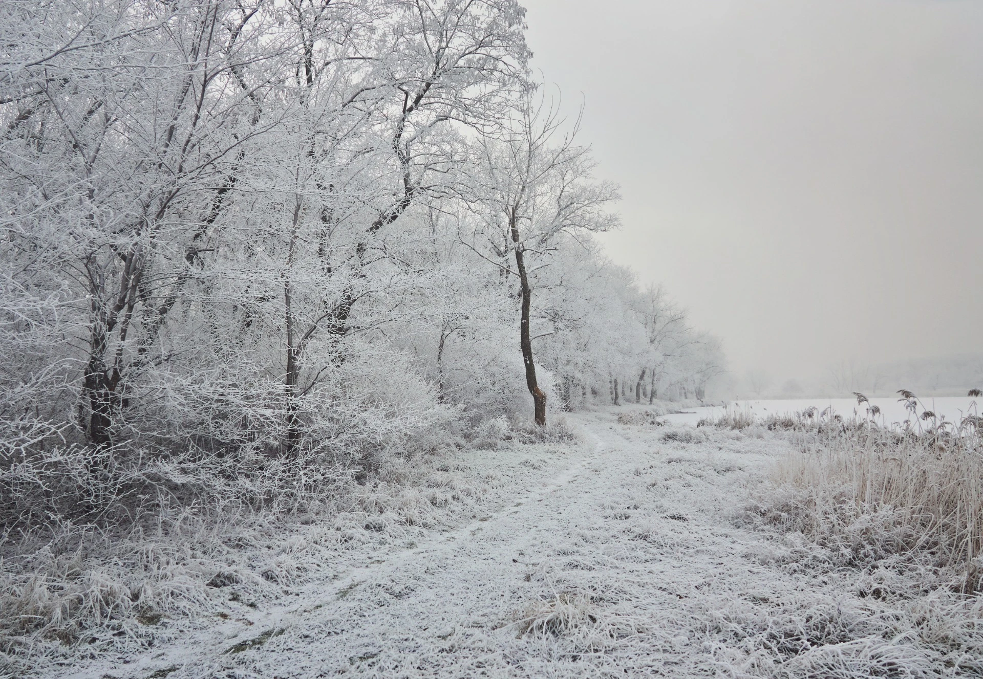 NEVICA