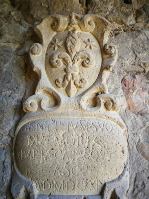 FERRUCCIO FERRUCCI