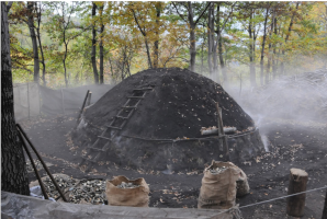 IL FUOCO DELLA LAGA