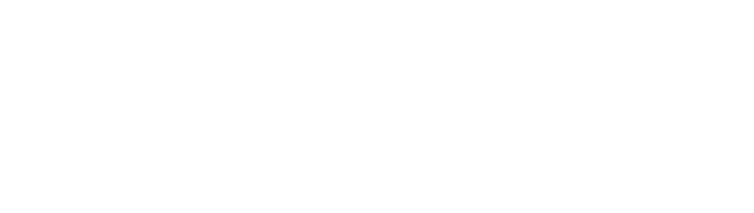British International Investment