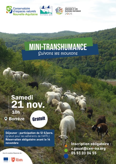 Mini-transhumanche à Borrèze — Borrèze
