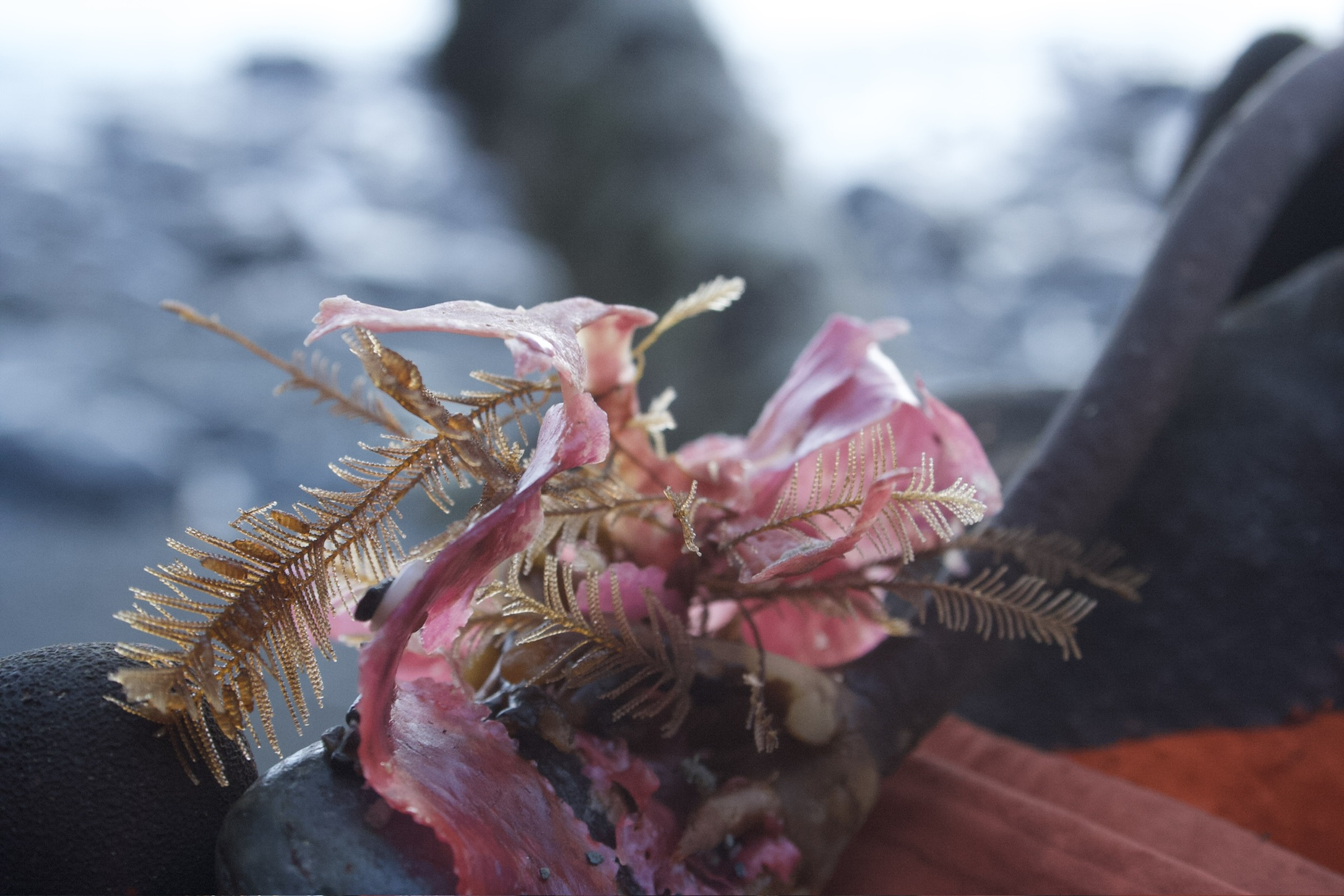 C506524B-8470-424A-B3BA-05A740415760_1_102_o