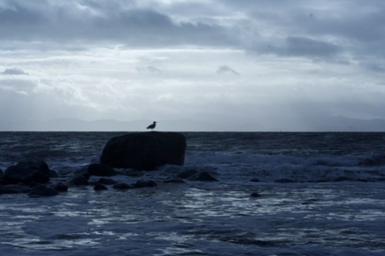 DB7081FF-6C00-448B-9EFE-2AFDDE674D01_4_5005_c