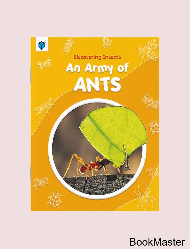 Discovering Insects: An Army of Ants