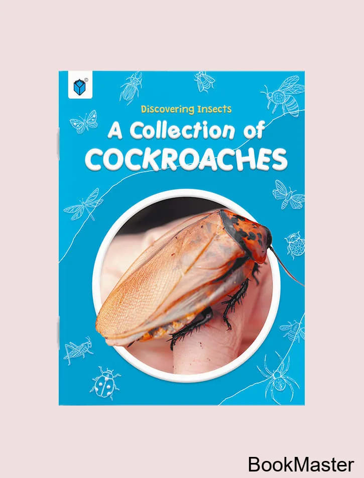 Discovering Insects: A Collection of Cockroaches