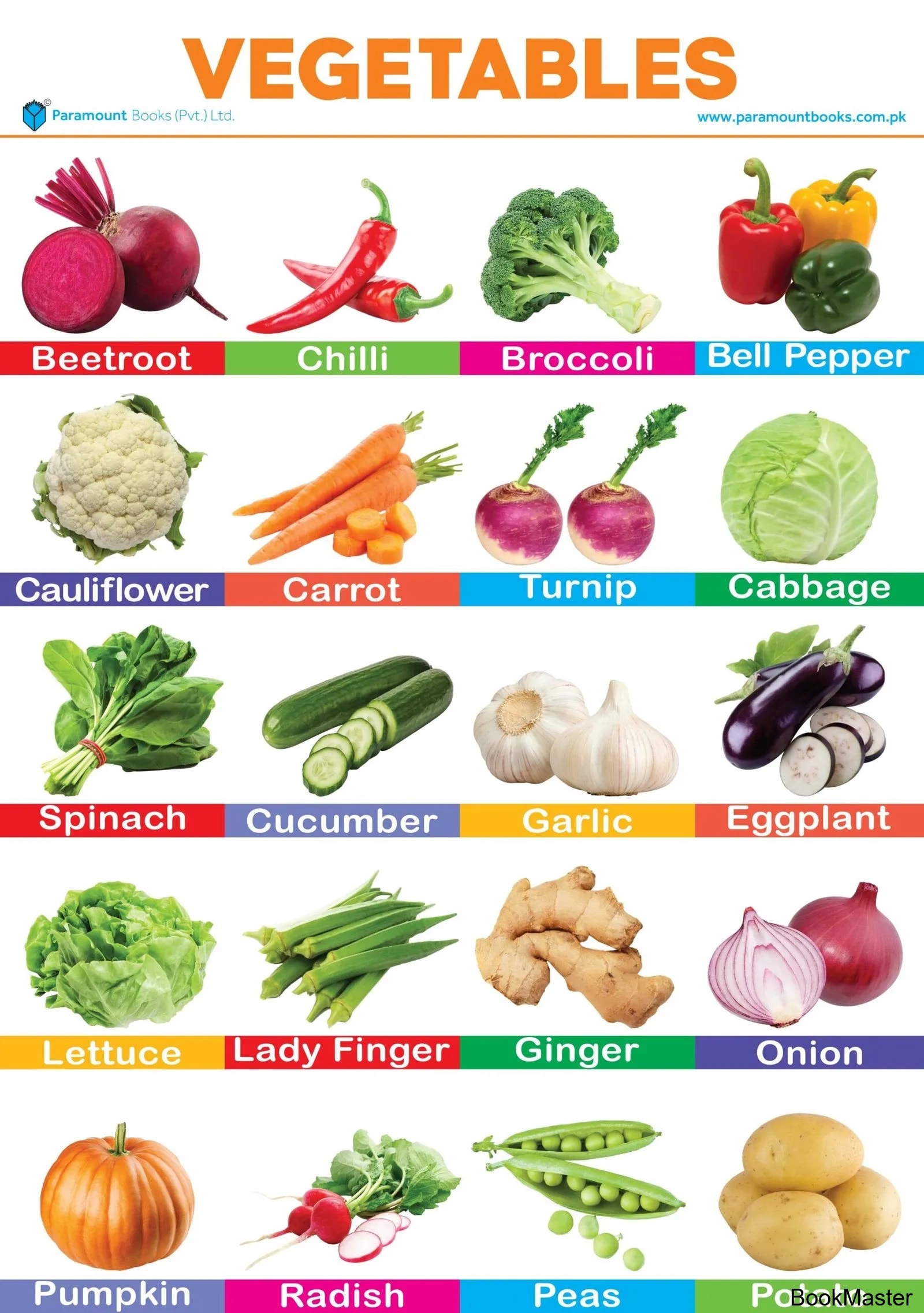 Paramount Wall Chart : Vegetables