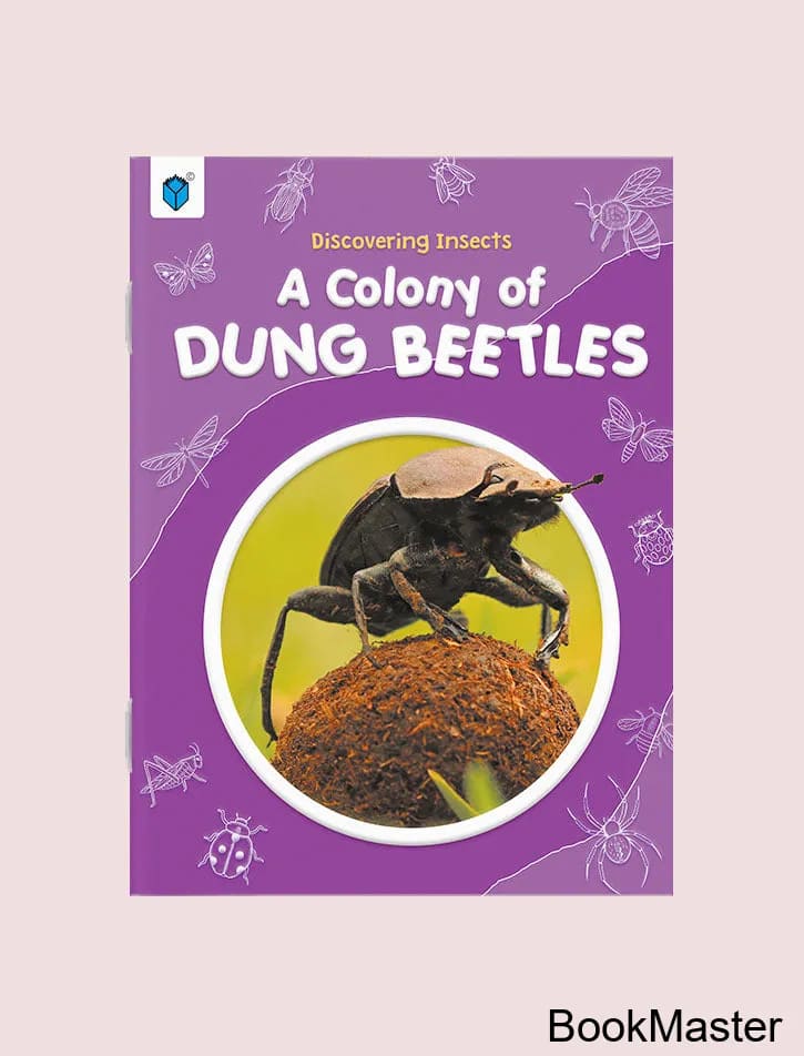 Discovering Insects: A Colony of Dung Beetles