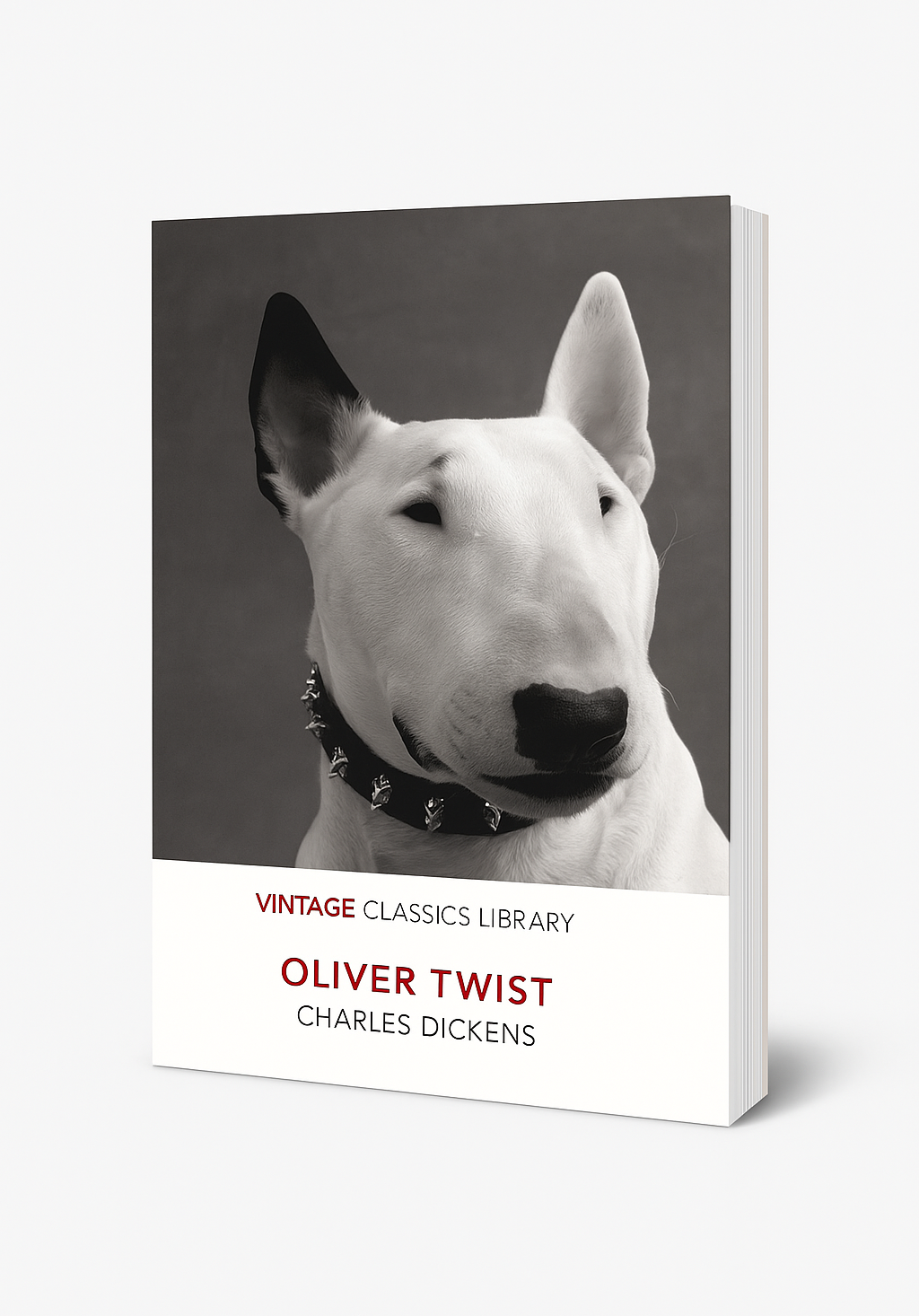 Vintage Classics Library: Oliver Twist