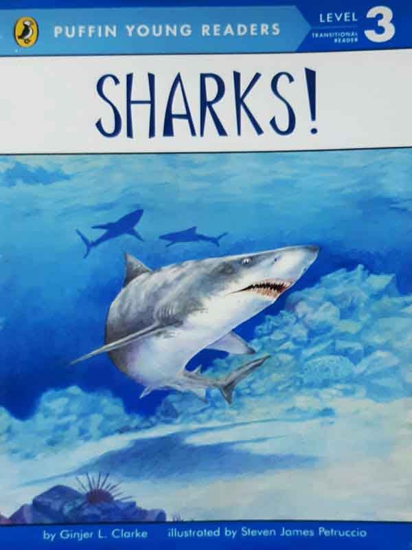 Pyr Level-3: Sharks! (Transitional Reader)