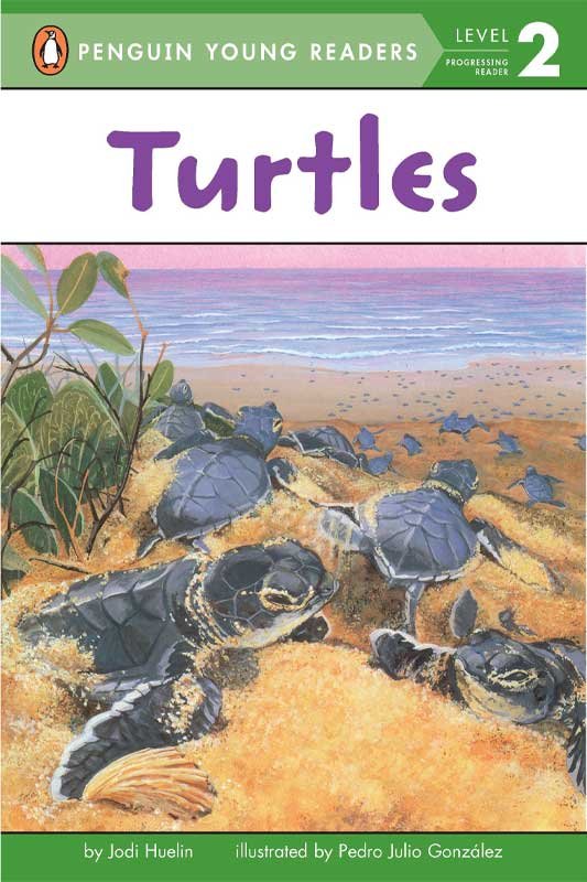 Pyr Level-2: Turtles (Progressing Reader)