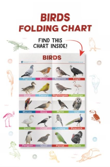 Paramount Birds Folding Chart