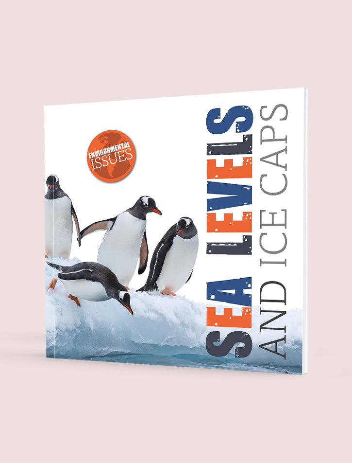 Environmental Issues: Sea Levels and Ice Caps