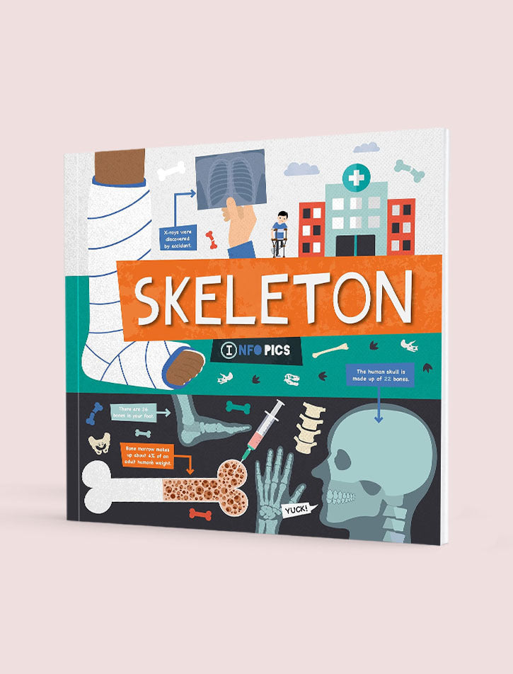 Skeleton