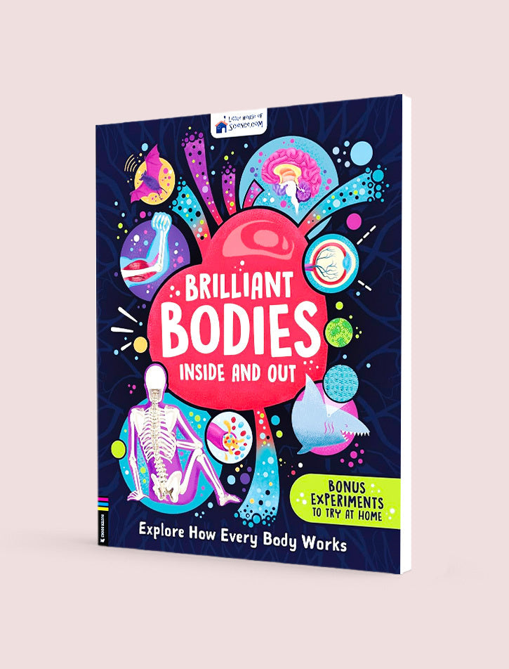 Brillant Bodies Inside and Out